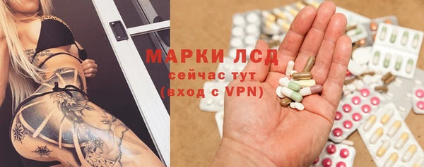 крисы Армянск
