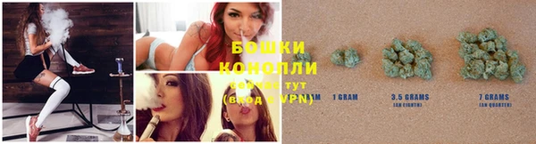 MESCALINE Аркадак