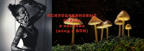 прущая мука Арсеньев