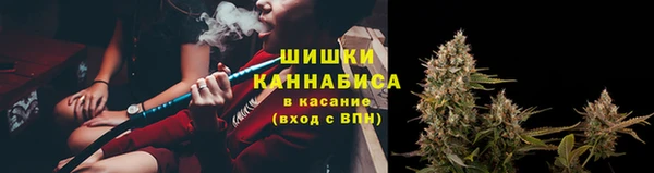 MESCALINE Аркадак