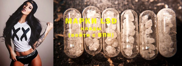 MESCALINE Аркадак