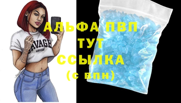 крисы Армянск