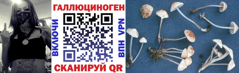 Псилоцибиновые грибы прущие грибы Льгов